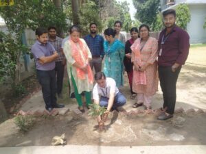 SDIMT  College in Haridwar पर्यावरण दिवस पर किया पौधारोपण, किया जागरुक