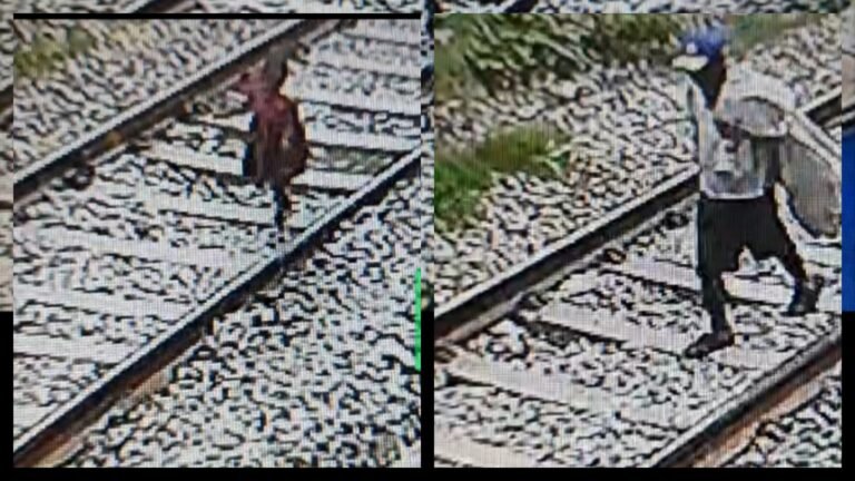 Haridwar Viral Video चार साल की मासूम को टनल में ले जाता दिखा सूरज, हत्या से पहले का वीडियो आया सामने, देखें वीडियो