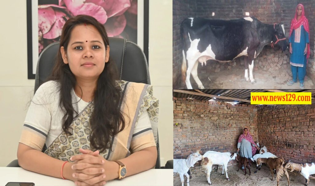 CDO Haridwar IAS Akanksha Konde की मेहनत रंग लाई, ममता और शबनम ग्रामोत्थान से बनी आत्मनिर्भर 2 CDO Haridwar IAS Akanksha Konde की मेहनत रंग लाई, ममता और शबनम ग्रामोत्थान से बनी आत्मनिर्भर