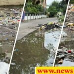 सरकार की तैयारियों पर पानी फेरता नगर निगम हरिद्वार, सफाई व्यवस्था का अभी बुरा हाल, कांवड़ में क्या होगा, अब कर्मचारी घोटाला सामने आया