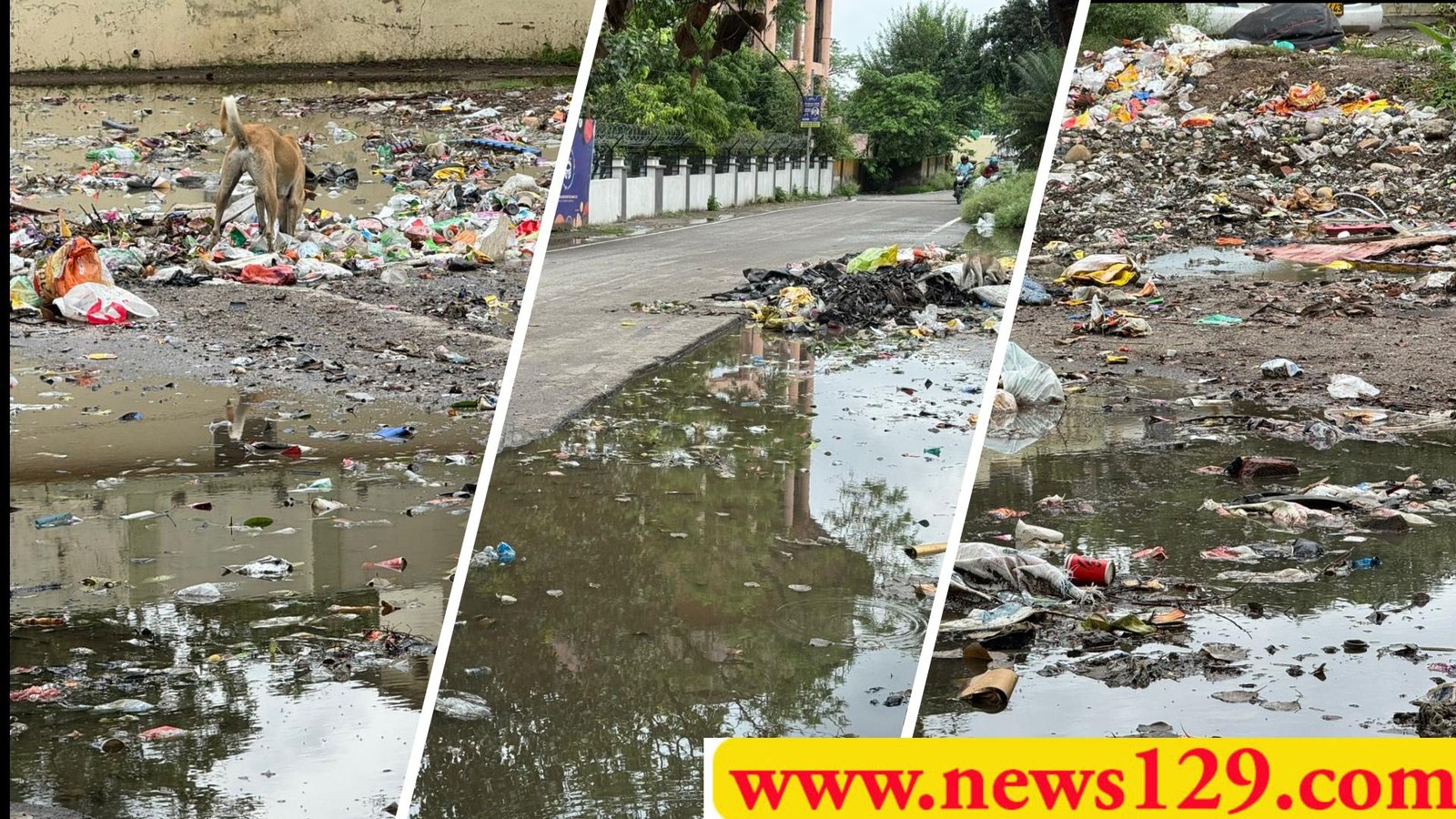 सरकार की तैयारियों पर पानी फेरता नगर निगम हरिद्वार, सफाई व्यवस्था का अभी बुरा हाल, कांवड़ में क्या होगा, अब कर्मचारी घोटाला सामने आया