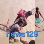 Haridwar Viral News यूपी की विवाहिता ने गंगा में लगाई छलांग, गोताखोरों ने बचाया, ये था कारण, देखें वीडियो