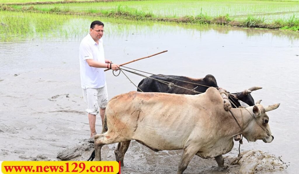 जनता के CM Pushkar Singh Dhami ने की धान रोपाई, सबसे लोकप्रिय सीएम बने धामी 2 जनता के CM Pushkar Singh Dhami ने की धान रोपाई, सबसे लोकप्रिय सीएम बने धामी