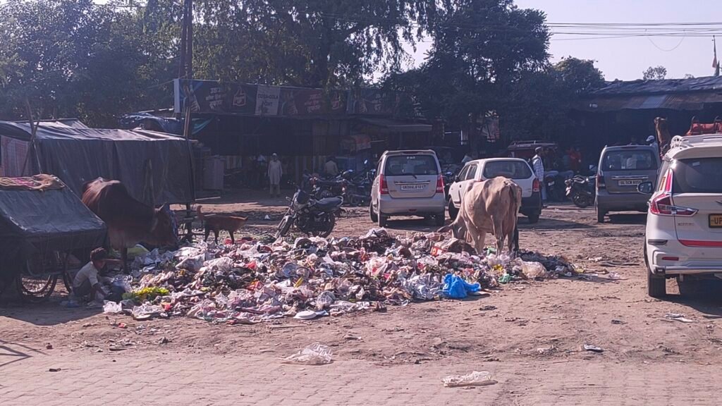 कलियर दरगाह साबिर पाक क्षेत्र में गंदगी के अंबार, जायरीनों और स्थानीय लोगों को भारी परेशानी 2 1000243440