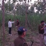 गला रेत कर युवक की नृशंस हत्या, गन्ने के खेत में मिला शव, रुड़की में सनसनी- 6 IMG 20251027 WA0050