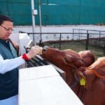 CM Pushkar Singh Dhami