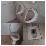 20251103 105710 COLLAGE