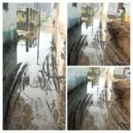 20251103 111230 COLLAGE