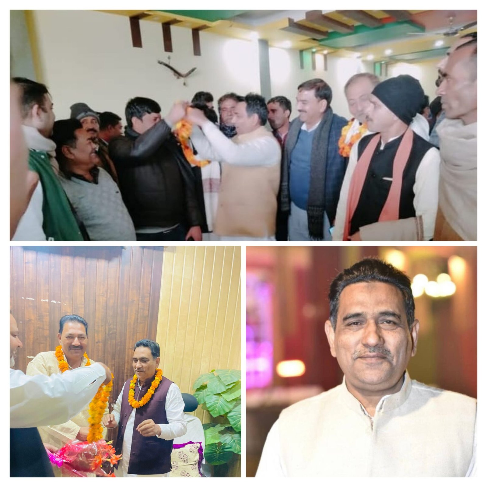 20251112 123530 COLLAGE