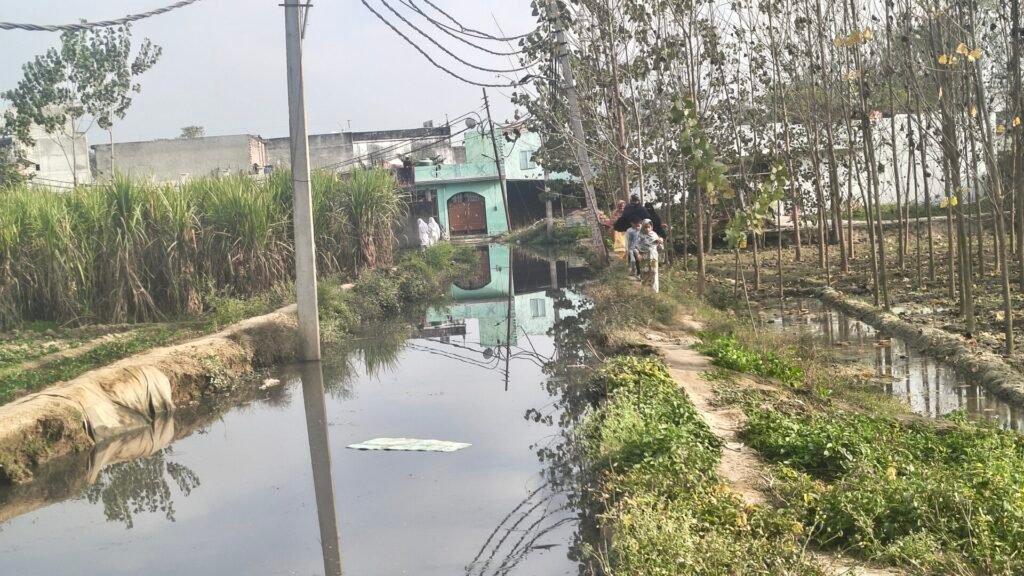 कलियर:-सुशासन के दावों की खुली पोल: कलियर नगर पंचायत के वार्ड 07 में एक साल से सड़क नहीं, सिर्फ़ 'बीमारी का तालाब' 4 IMG 20251213 145854049 HDR