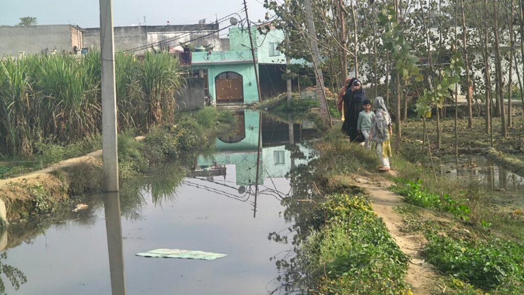 कलियर:-सुशासन के दावों की खुली पोल: कलियर नगर पंचायत के वार्ड 07 में एक साल से सड़क नहीं, सिर्फ़ 'बीमारी का तालाब' 3 IMG 20251213 145859536 HDR
