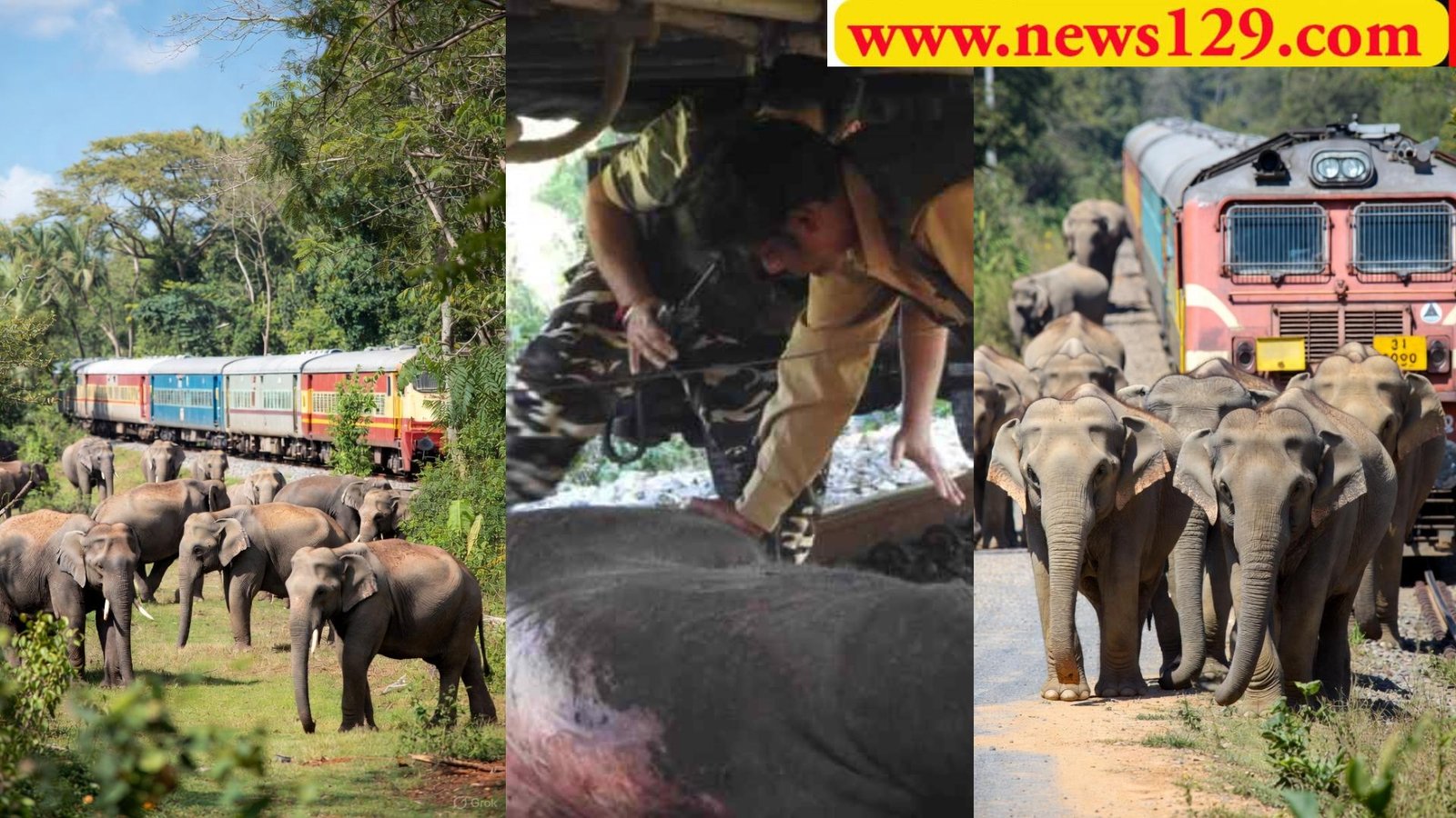 Rajaji Tiger Reserve तेज स्पीड ट्रेन ने हाथी के बच्चे को रौंदा, हाथियों ने ट्रेन रोकी, ट्रेन के पायलट पर मुकदमा दर्ज 1 Rajaji Tiger Reserve तेज स्पीड ट्रेन ने हाथी के बच्चे को रौंदा, हाथियों ने ट्रेन रोकी, ट्रेन के पायलट पर मुकदमा दर्ज