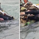 Haridwar Viral News गंगा में मिली युवती की पहचान हुई, हरियाणा की रहने वाली है, क्या हुआ था