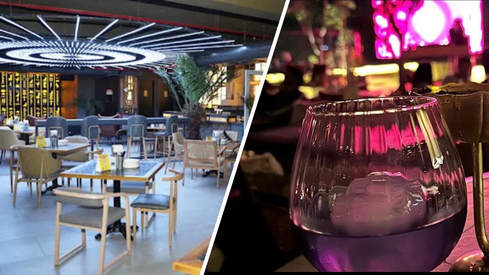 Romeo Lane Bar Dehradun: आईजी गढ़वाल व देहरादून एसएसपी से जवाब तलब, एसएसपी ने बंद कराया था बार, आईजी थे अंदर